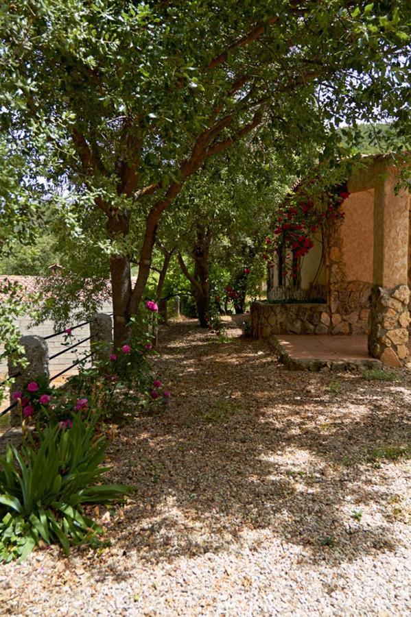 Casas Rurales Amable- Yeste Cortijo Prados Ngoại thất bức ảnh