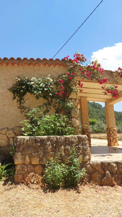 Casas Rurales Amable- Yeste Cortijo Prados Ngoại thất bức ảnh