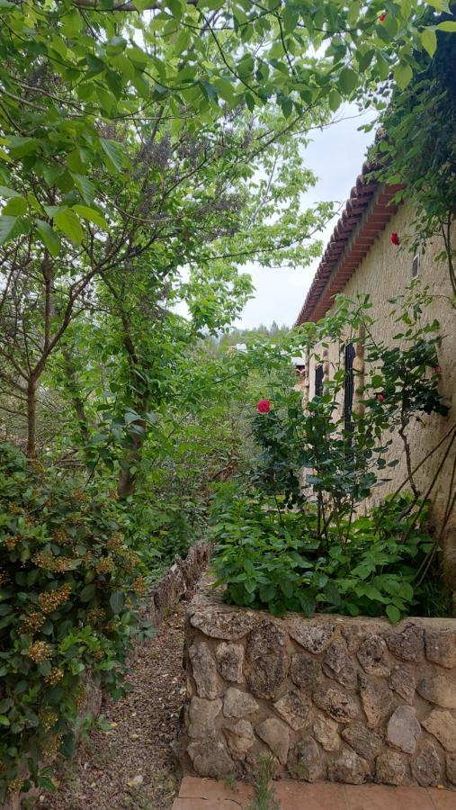 Casas Rurales Amable- Yeste Cortijo Prados Ngoại thất bức ảnh